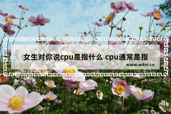 女生对你说cpu是指什么 cpu通常是指