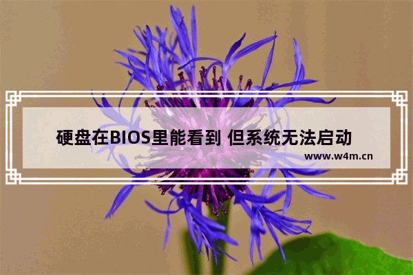 硬盘在BIOS里能看到 但系统无法启动 电脑主板测试多个硬盘启动