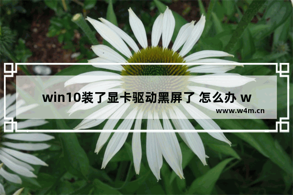 win10装了显卡驱动黑屏了 怎么办 win10安装显卡驱动后黑屏