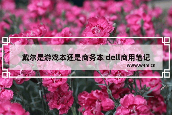 戴尔是游戏本还是商务本 dell商用笔记本电脑