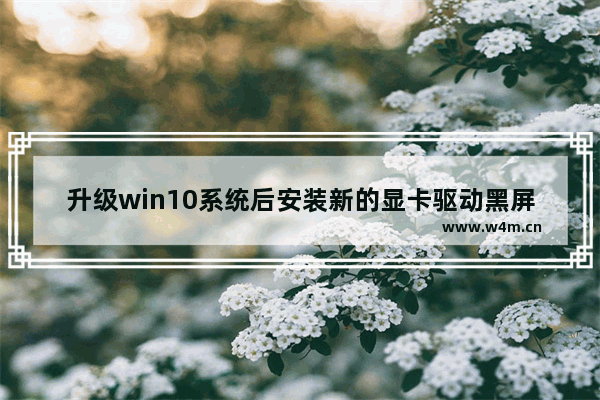 升级win10系统后安装新的显卡驱动黑屏怎么办 笔记本显卡驱动更新后黑屏