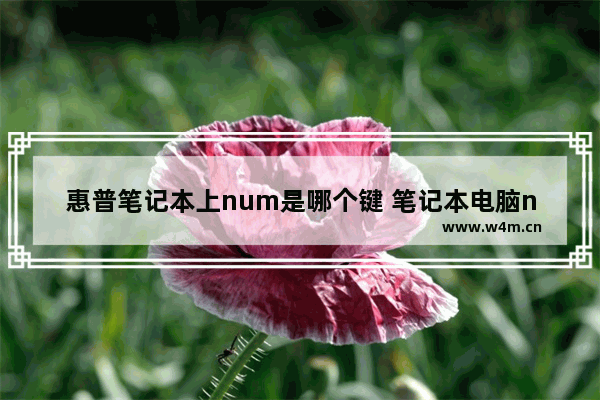 惠普笔记本上num是哪个键 笔记本电脑num