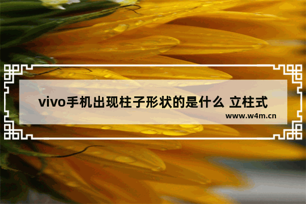 vivo手机出现柱子形状的是什么 立柱式显示器