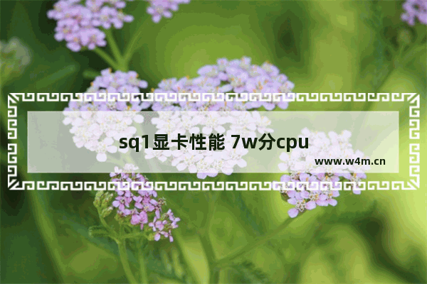 sq1显卡性能 7w分cpu