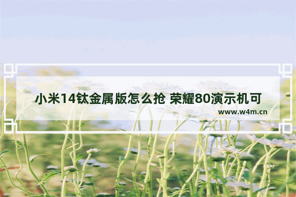 小米14钛金属版怎么抢 荣耀80演示机可以买吗