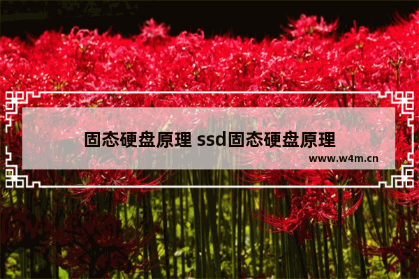 固态硬盘原理 ssd固态硬盘原理