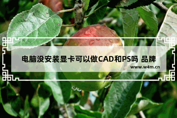 电脑没安装显卡可以做CAD和PS吗 品牌电脑能不能组装显卡