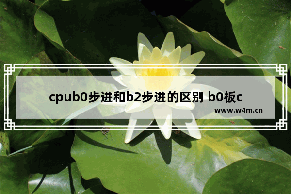 cpub0步进和b2步进的区别 b0板cpu