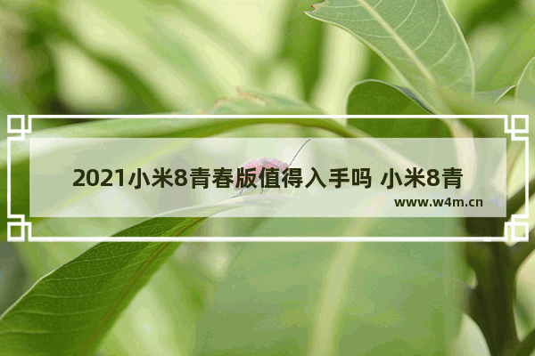 2021小米8青春版值得入手吗 小米8青春版cpu