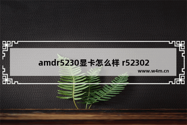 amdr5230显卡怎么样 r52302g显卡怎么样