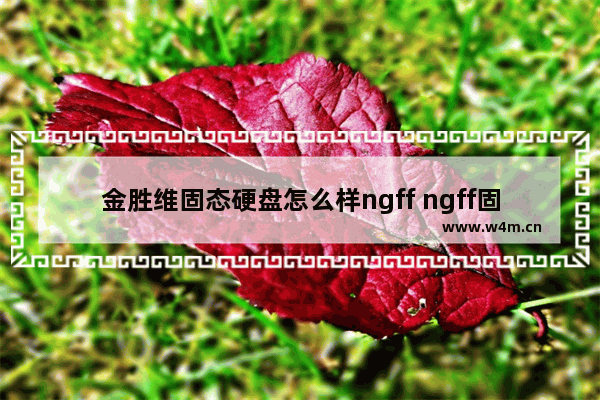 金胜维固态硬盘怎么样ngff ngff固态硬盘好吗