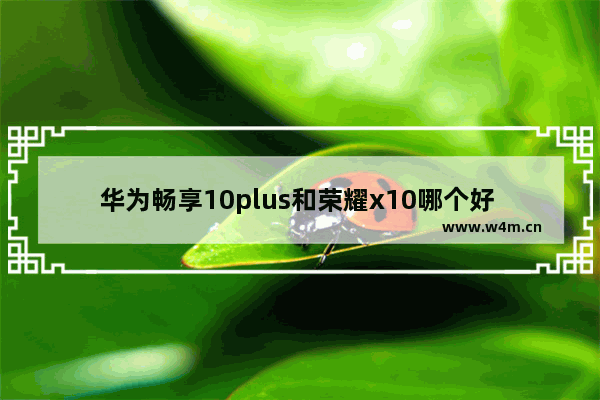 华为畅享10plus和荣耀x10哪个好 显示器前10