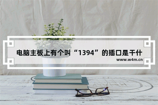 电脑主板上有个叫“1394”的插口是干什么 电脑主板接口15孔插口