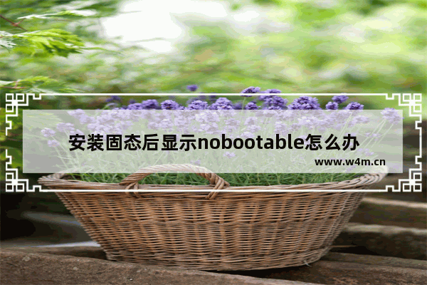 安装固态后显示nobootable怎么办 固态硬盘固件坏了怎么办