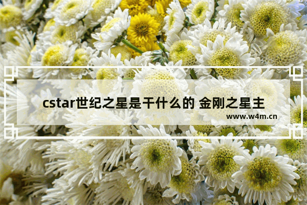 cstar世纪之星是干什么的 金刚之星主机怎么样