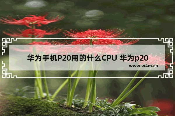 华为手机P20用的什么CPU 华为p20cpu