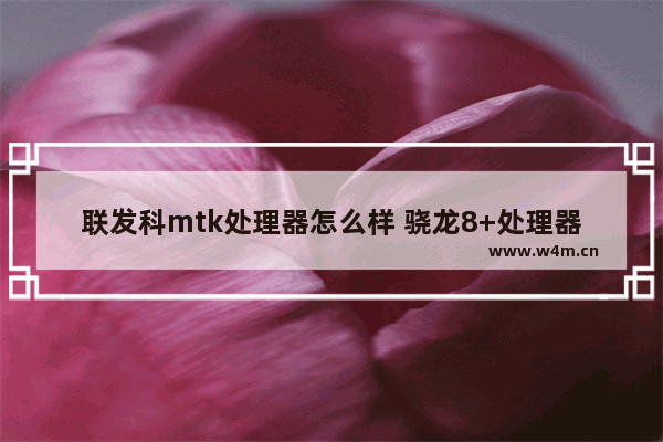 联发科mtk处理器怎么样 骁龙8+处理器手机性价比排行