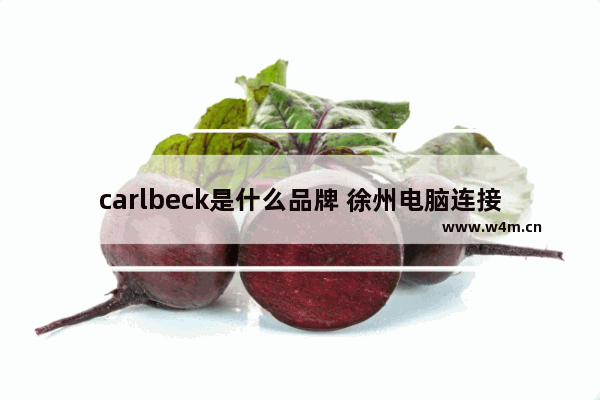 carlbeck是什么品牌 徐州电脑连接器品牌有哪些