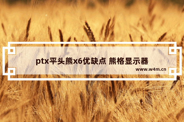 ptx平头熊x6优缺点 熊格显示器