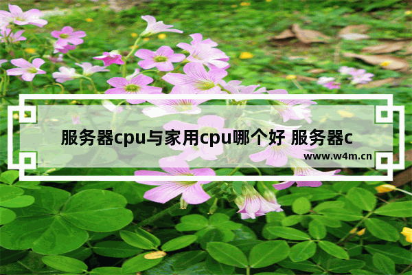 服务器cpu与家用cpu哪个好 服务器cpu比较