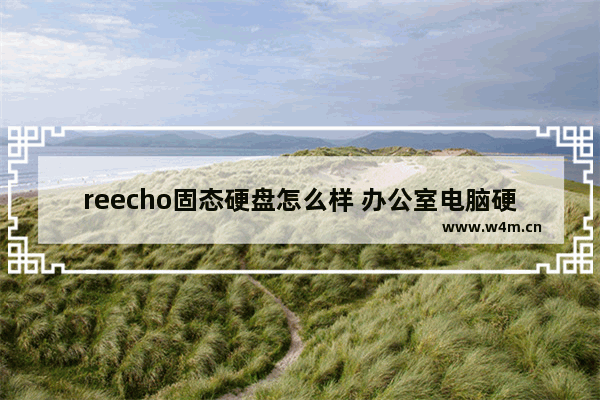 reecho固态硬盘怎么样 办公室电脑硬盘哪个品牌好