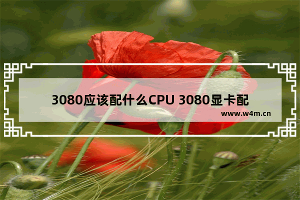 3080应该配什么CPU 3080显卡配什么cpu