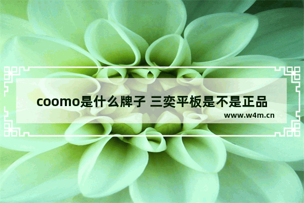 coomo是什么牌子 三奕平板是不是正品