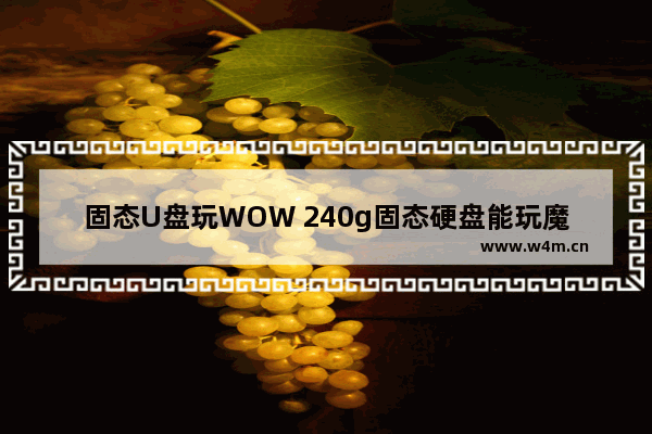 固态U盘玩WOW 240g固态硬盘能玩魔兽吗