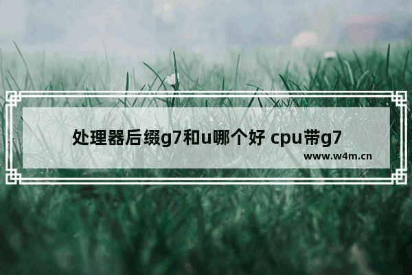 处理器后缀g7和u哪个好 cpu带g7