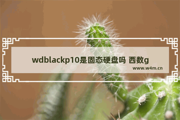 wdblackp10是固态硬盘吗 西数green固态硬盘