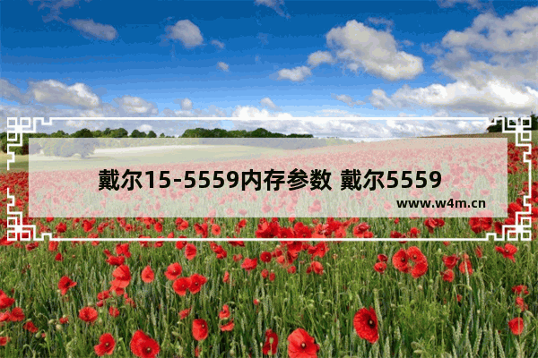 戴尔15-5559内存参数 戴尔5559固态硬盘