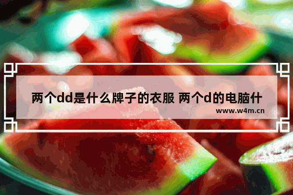 两个dd是什么牌子的衣服 两个d的电脑什么品牌