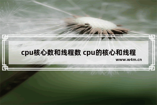 cpu核心数和线程数 cpu的核心和线程有什么用