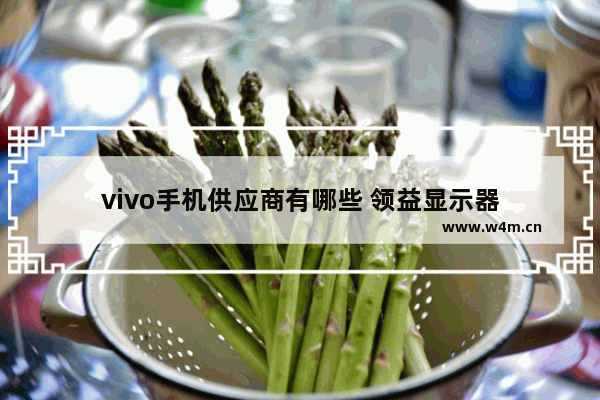 vivo手机供应商有哪些 领益显示器