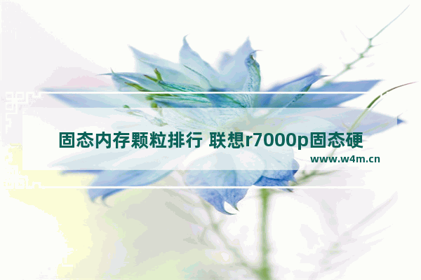 固态内存颗粒排行 联想r7000p固态硬盘怎么选