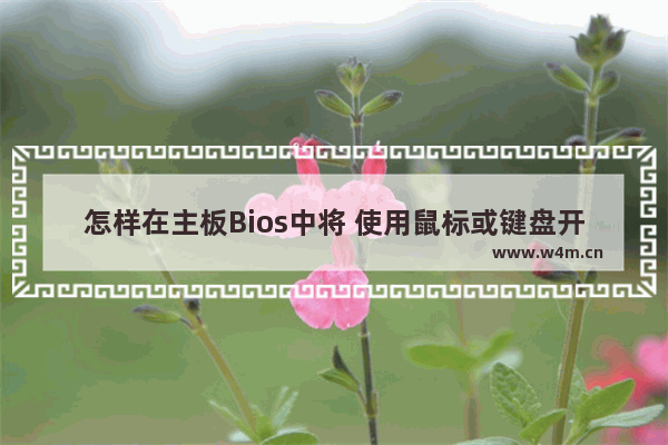 怎样在主板Bios中将 使用鼠标或键盘开机 选项关闭 电脑怎么设置主板无法开机