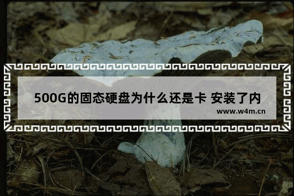 500G的固态硬盘为什么还是卡 安装了内存条和固态硬盘还是卡的要死