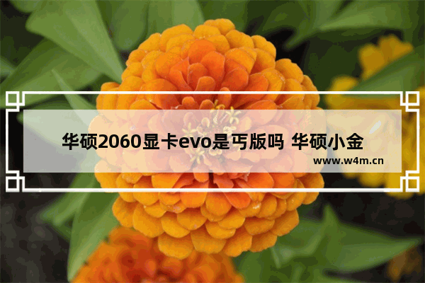 华硕2060显卡evo是丐版吗 华硕小金刚max需要什么显卡