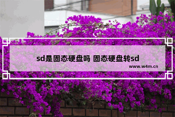 sd是固态硬盘吗 固态硬盘转sd