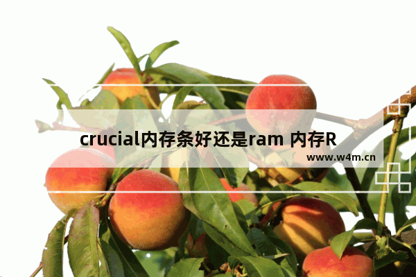 crucial内存条好还是ram 内存Ramaxel是什么牌子