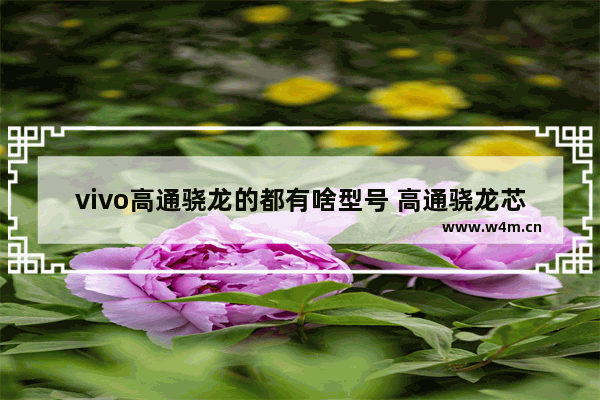 vivo高通骁龙的都有啥型号 高通骁龙芯片顺序