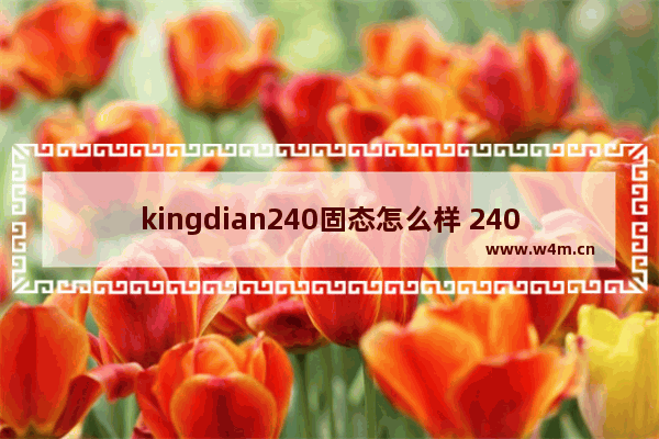 kingdian240固态怎么样 240固态硬盘性价比