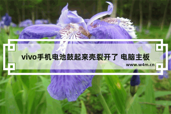 vivo手机电池鼓起来壳裂开了 电脑主板电容鼓包开裂