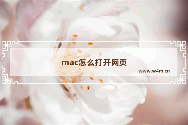 mac怎么打开网页