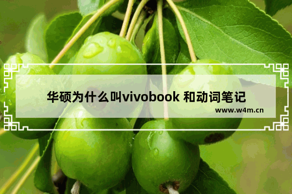 华硕为什么叫vivobook 和动词笔记本电脑