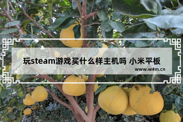 玩steam游戏买什么样主机吗 小米平板5pro能玩主机游戏吗