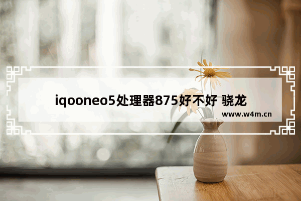 iqooneo5处理器875好不好 骁龙875cpu性能