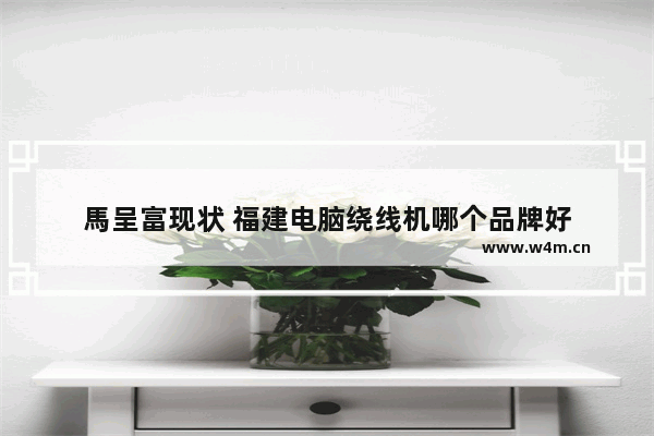 馬呈富现状 福建电脑绕线机哪个品牌好