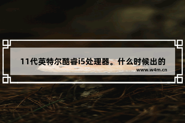 11代英特尔酷睿i5处理器。什么时候出的 英特尔11代cpu曝光