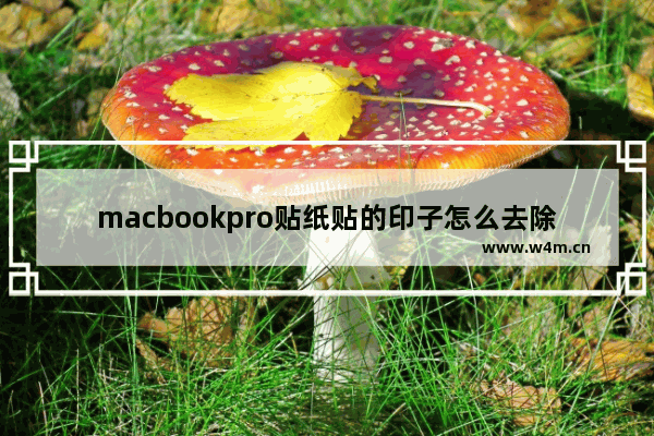 macbookpro贴纸贴的印子怎么去除 苹果图标贴纸用法